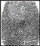 fingerprint search button